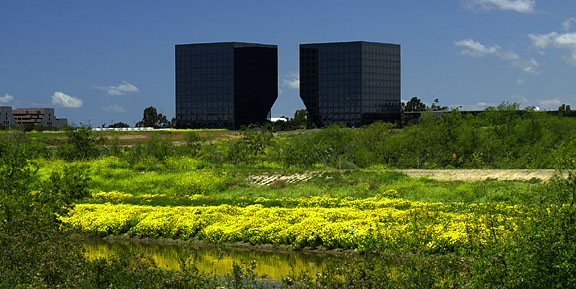 San Diego Creek